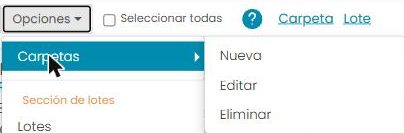 Menú «Opciones» con el submenú «Carpetas» abierto: Nueva, Editar, Eliminar.