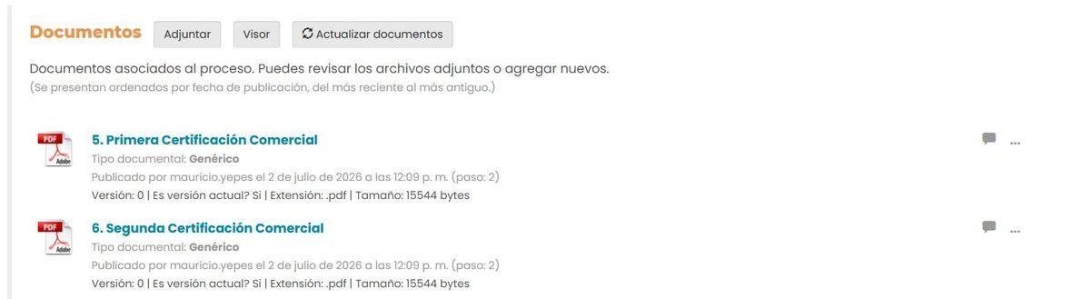 Sección Documentos con los botones Adjuntar, Visor y Actualizar documentos y la lista de archivos adjuntos.