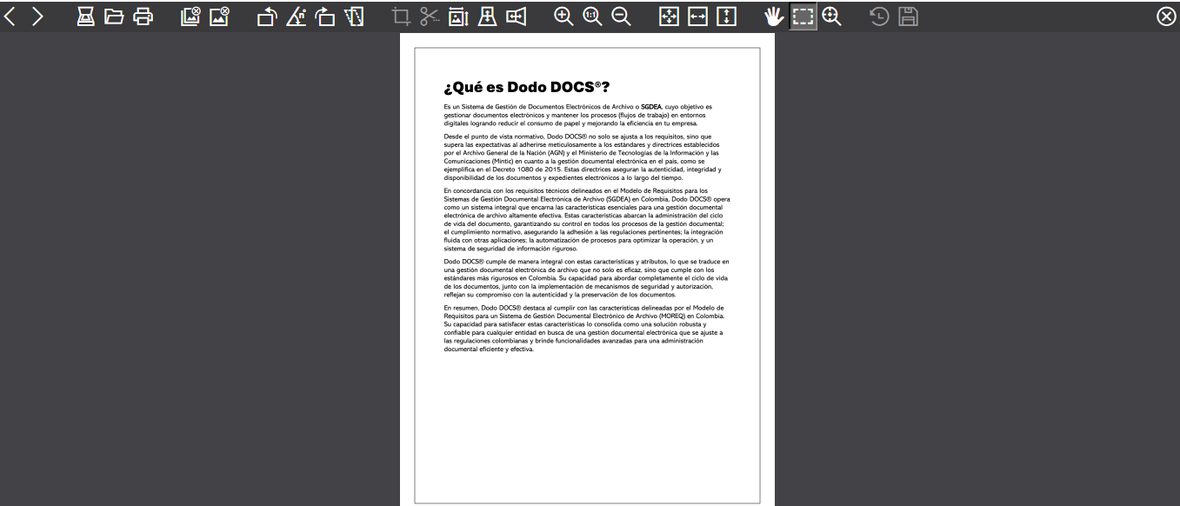 Editor de imágenes avanzado abierto, con toda su barra de herramientas y una imagen cargada.
