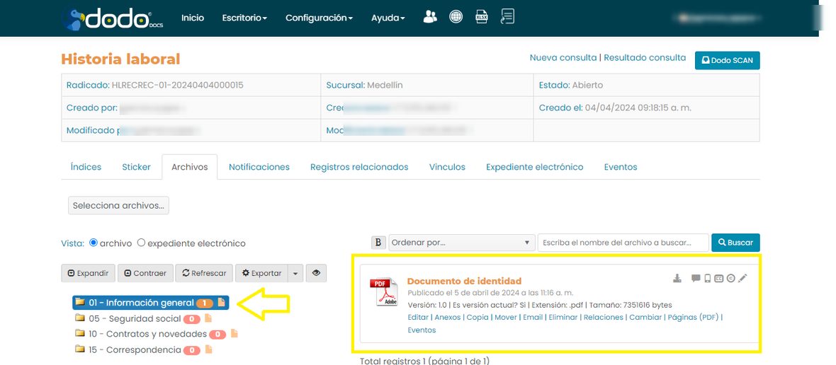 Pestaña Archivos del registro, con el documento recién publicado en el directorio elegido.