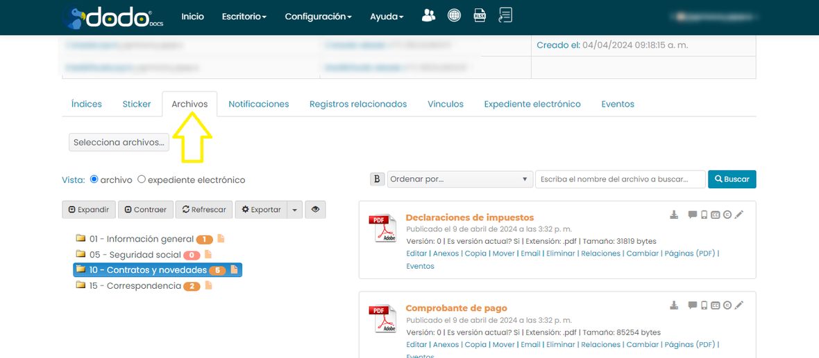 Pestaña Archivos del detalle del registro, con la flecha señalando la pestaña.