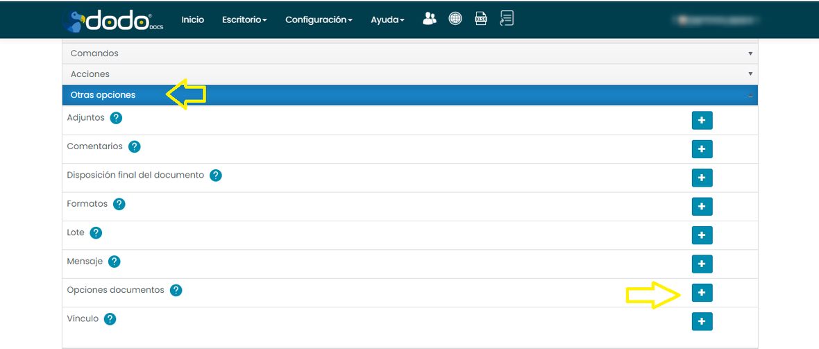 Configuración del paso de flujo, pestaña Otras opciones, con el ítem Opciones documentos resaltado.
