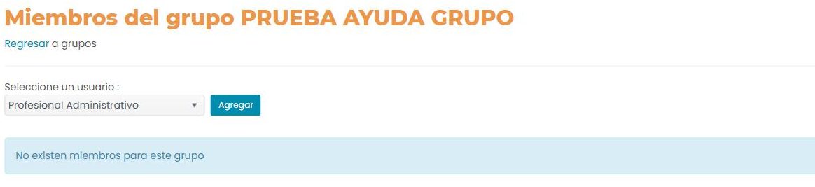 Pantalla «Miembros del grupo»: un desplegable «Seleccione un usuario» con un botón «Agregar» y el mensaje «No existen miembros para este grupo».