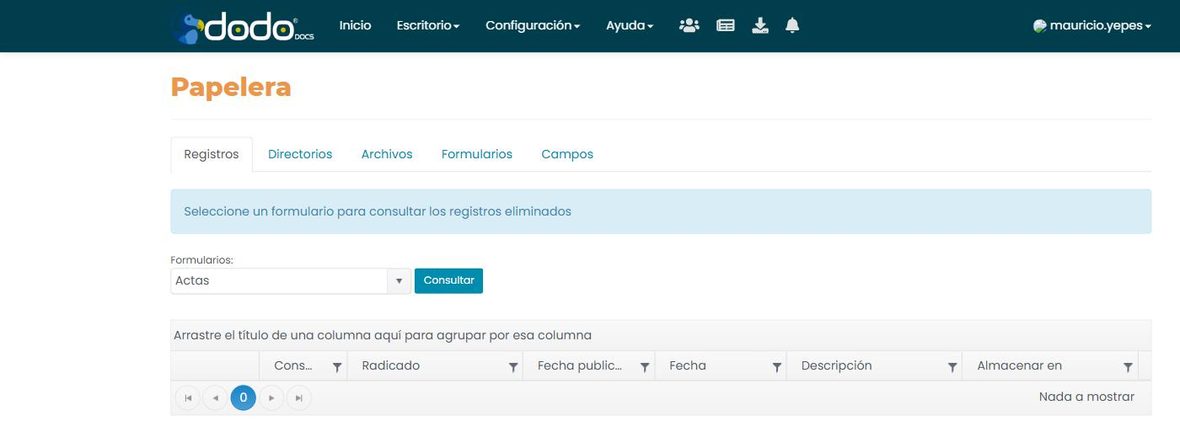 Pestaña «Registros»: selector de formulario, botón Consultar, y la grilla de resultados («Nada a mostrar» para el formulario consultado).