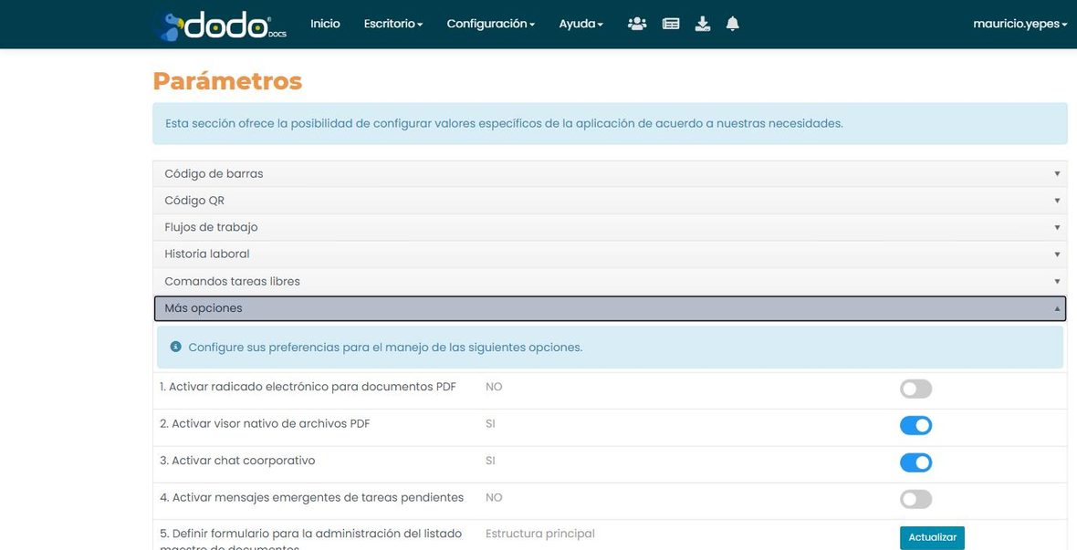 Grupo «Más opciones» expandido: Activar radicado electrónico para documentos PDF (NO), Activar visor nativo de archivos PDF (SÍ), Activar chat corporativo (SÍ), Activar mensajes emergentes de tareas pendientes (NO), Definir formulario para la administración del listado maestro de documentos y Seleccionar ruta de destino para la exportación de archivos.