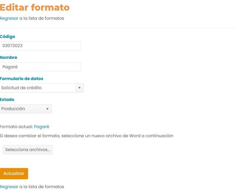 Formulario «Editar formato»: campos Código y Nombre, desplegables Formulario de datos y Estado, el nombre del archivo actual, un botón «Selecciona archivos…» para reemplazarlo, y un botón «Actualizar».